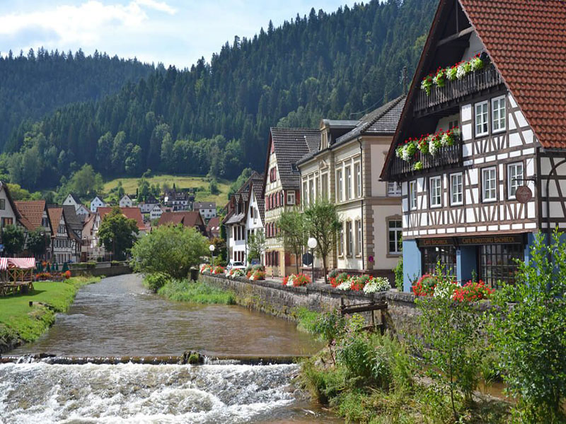 Foresta Nera (Germania) 2025