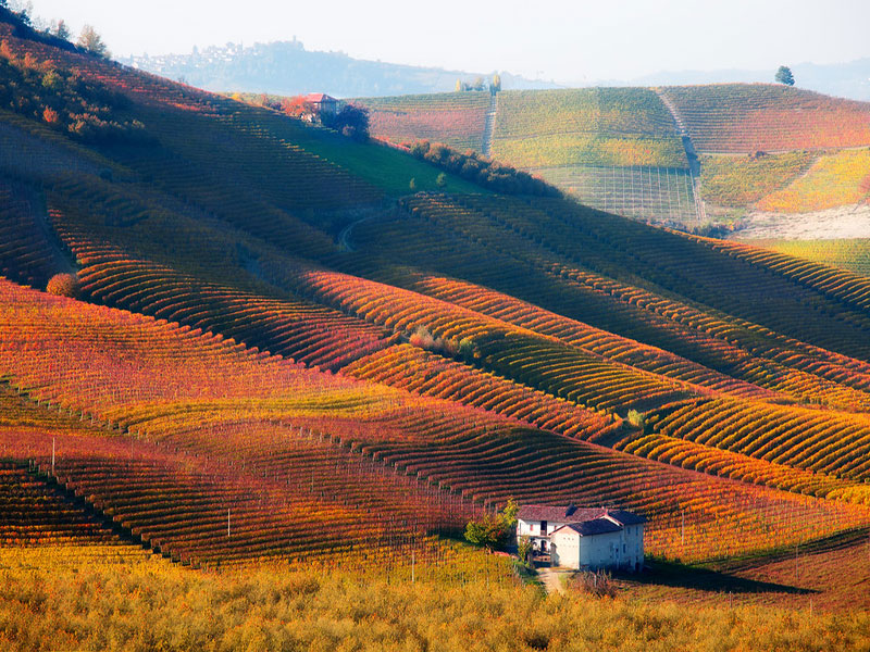 Langhe 2025