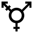 Description of the photo