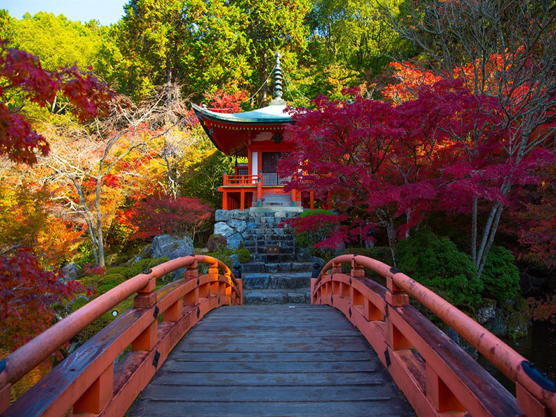 Giappone d’Autunno – Kyoto e Nikkō